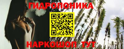 индика Абинск