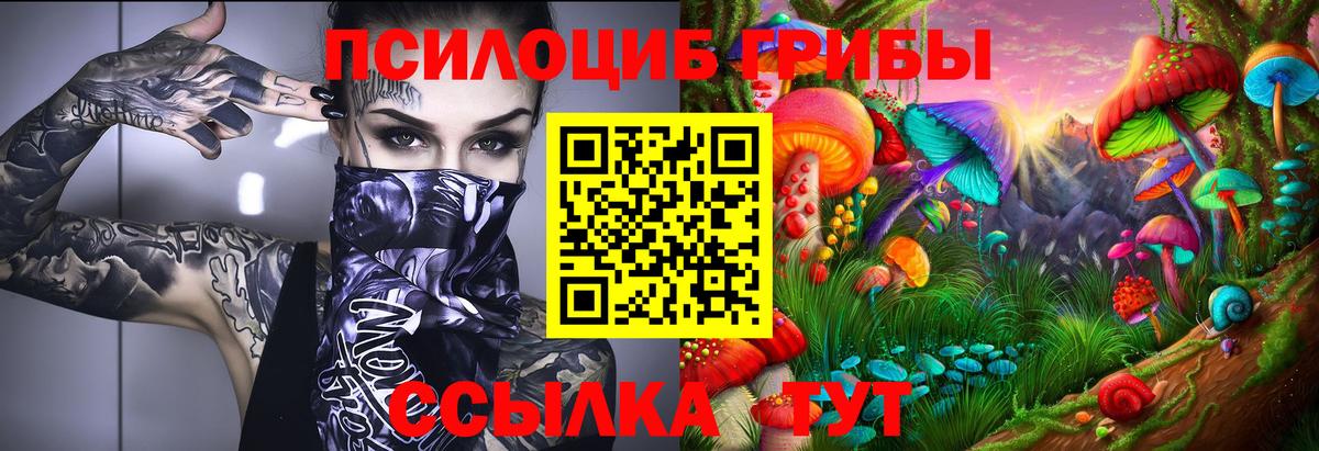 Апатиты  Псилоцибиновые грибы ЛСД  Вход с VPN 