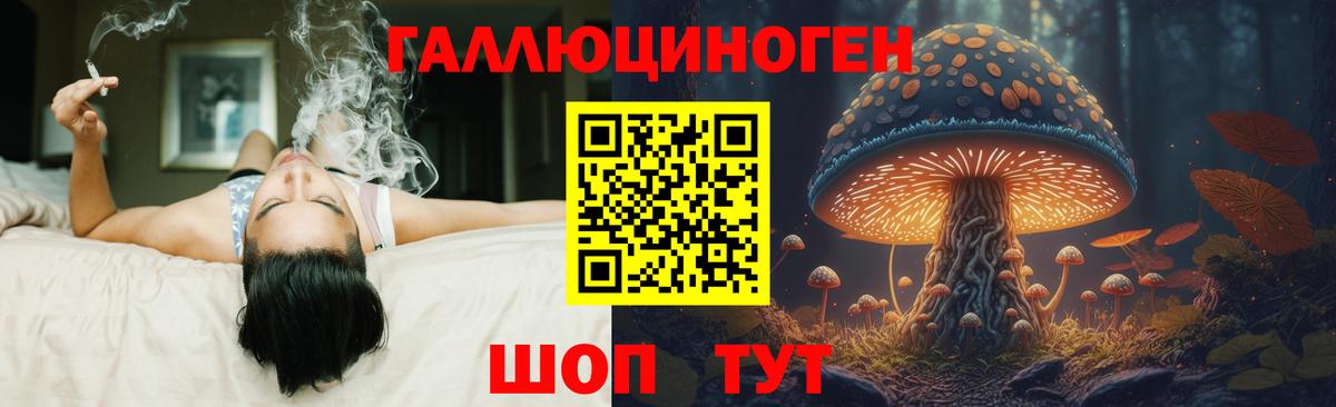 Псилоцибиновые грибы Cubensis Апатиты